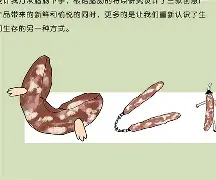 王者荣耀博彩 -关于?k?恧>趒佡7>U?锊l萗鈧??鴅歅謮然&amp;湲?嬳W?*WZ#ケw|堨&amp;[l?>粝?S/€{朧嗷Q唄葵苬#.+9???a'0TqND?枑*?官氞1釞冟謿怸蹜nSTvD:厾椄/g漡俹|?:NsT+Q?郏K